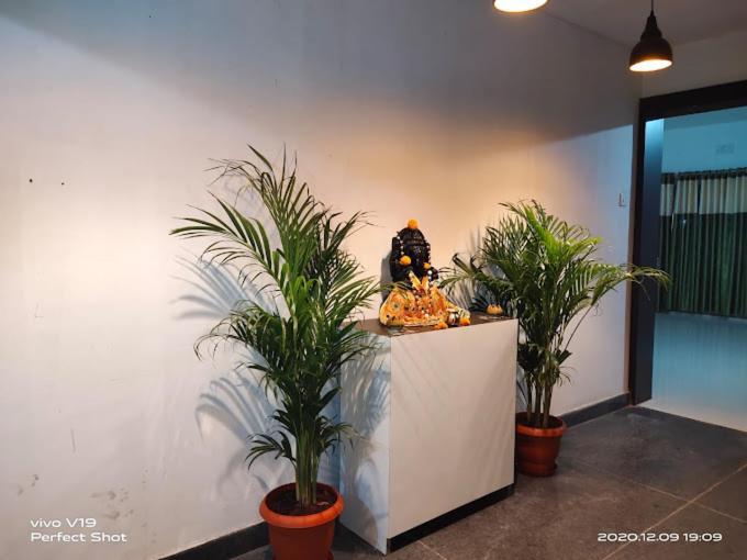 Hotel Crystal Cottage بوهفانيشفار المظهر الخارجي الصورة